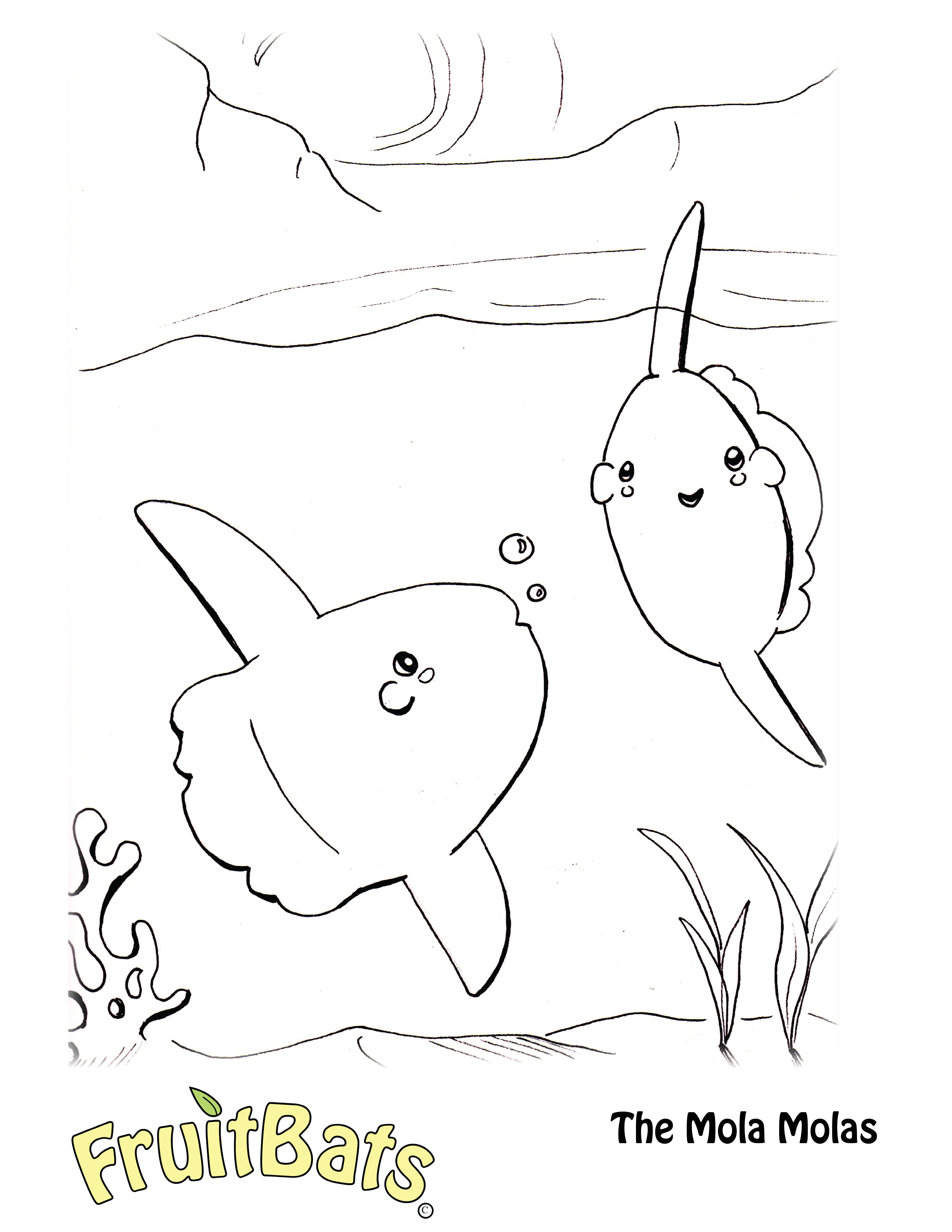 5100x6600 Mola Mola Sunfish Coloring Page Fruitbats Amp Company