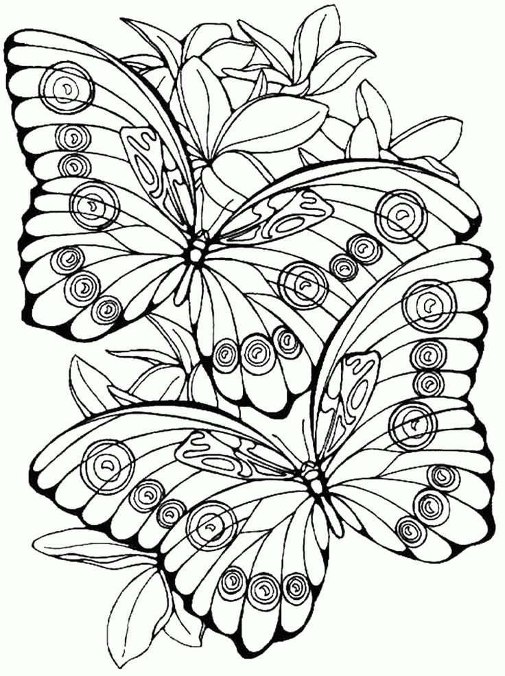 736x985 Resultado De Imagen Para Molas De Colombia Accesorios