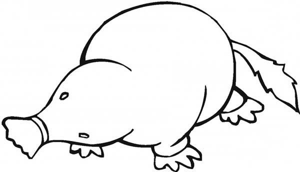 Mole Coloring Page