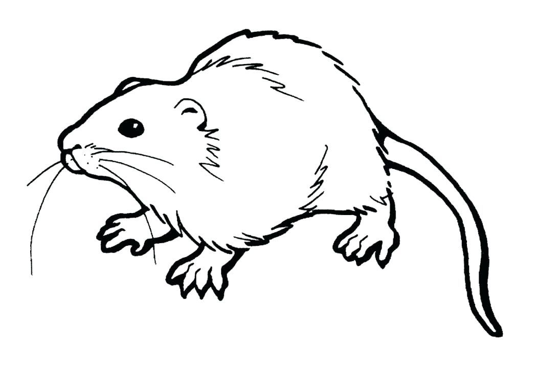 1050x746 Mole Coloring Page Index Coloring Pages Mole Crab Coloring Page
