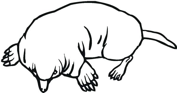 600x315 Mole Coloring Page Mole Coloring Pages Mole Coloring Pages
