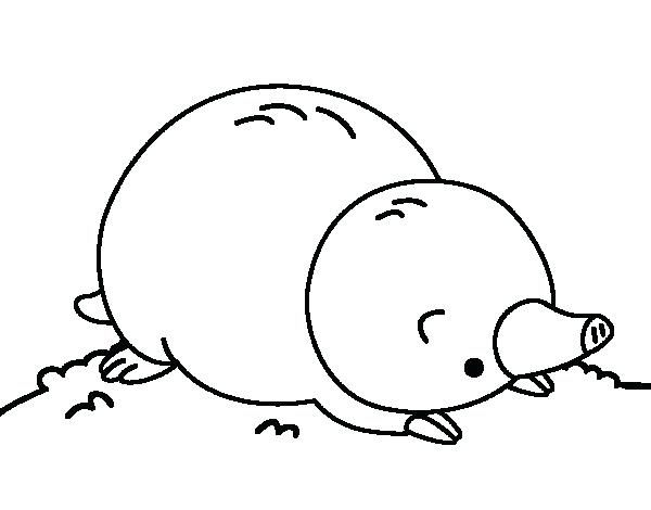 600x470 Mole Coloring Page Mole Lying Down Coloring Page Mole Colouring