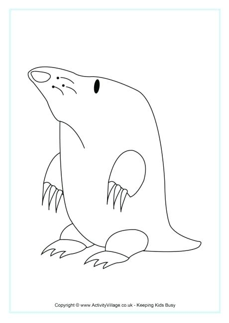 460x650 Mole Day Coloring Pages