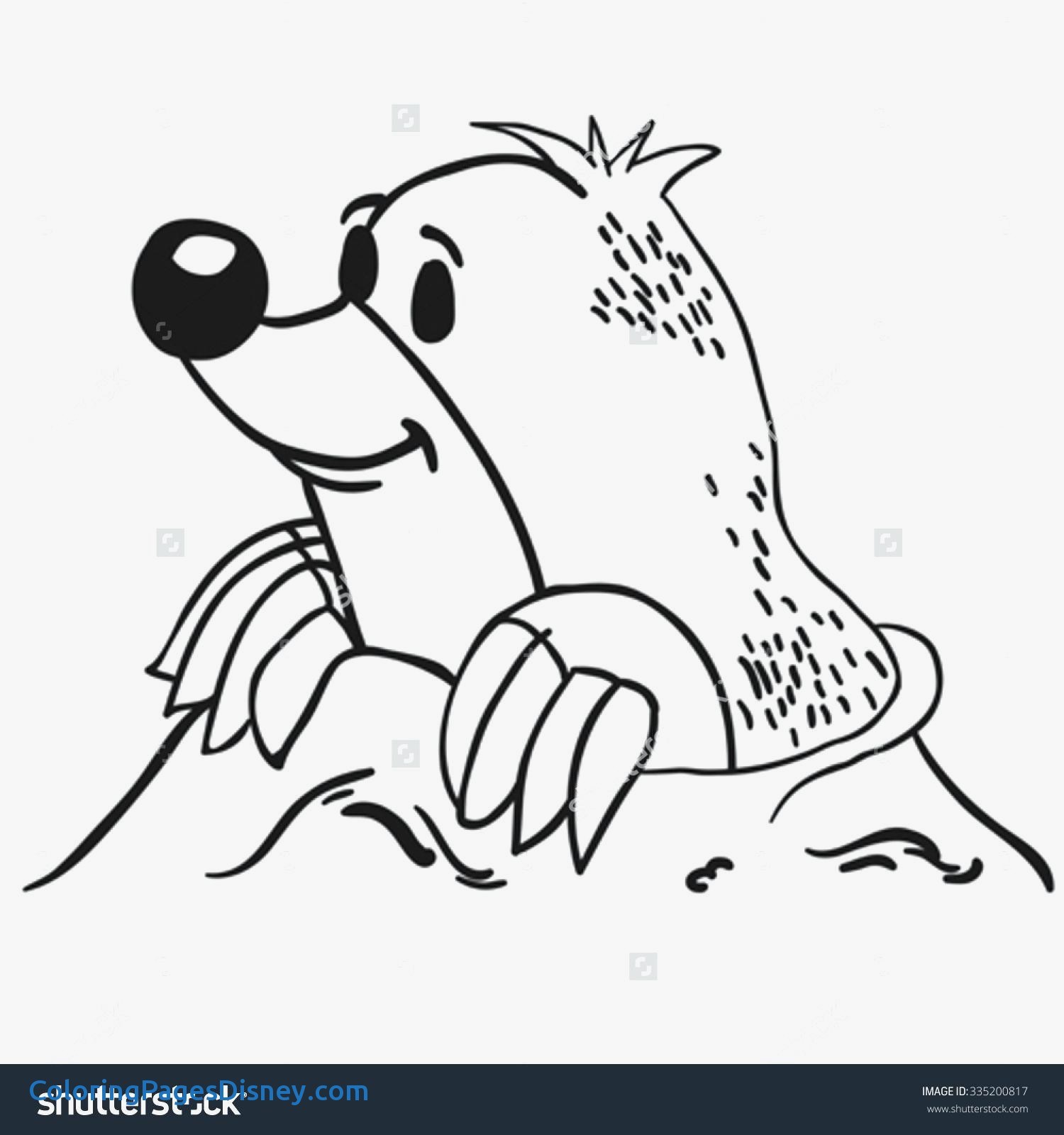 1500x1600 Mole Rat Archives