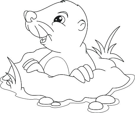 455x379 Darth Maul Coloring Pages Mole Coloring Mole Coloring Page Maul