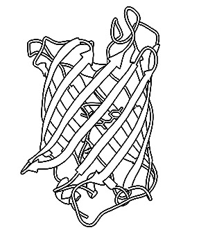 300x332 Pdb 101 Learn Coloring Books Coloring Molecular Machinery