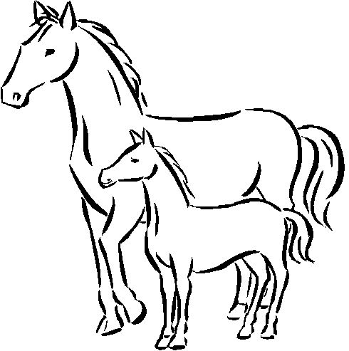Mom And Baby Horse Coloring Pages