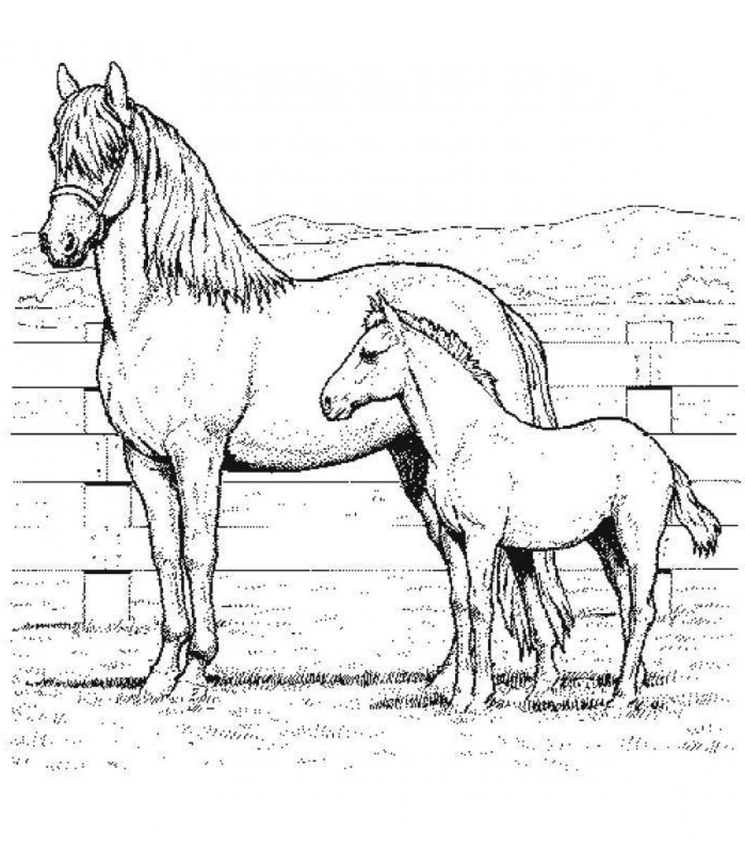 1056x1200 Baby Horse Coloring Page Coloring Page Of Mom And Ba Horse