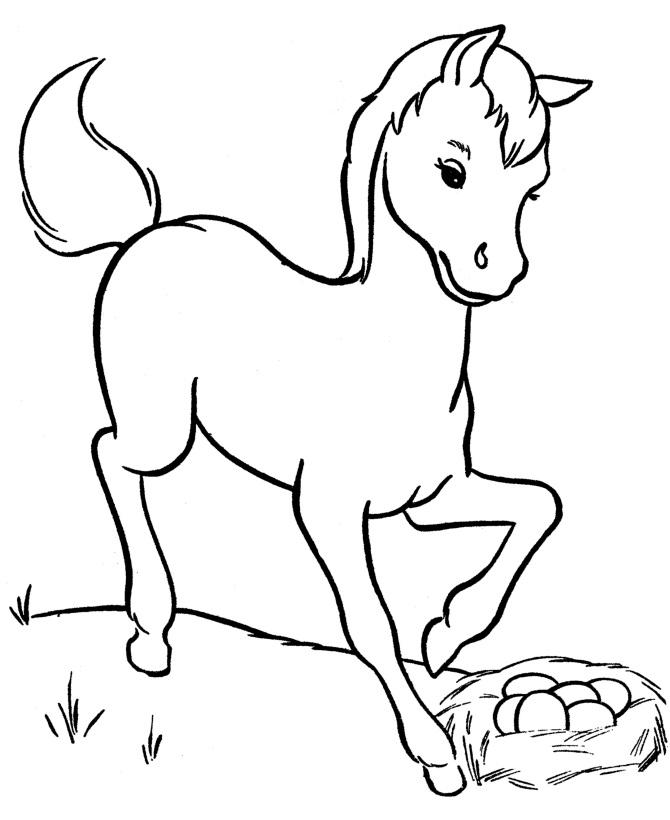 670x820 Baby Horse Coloring Pages
