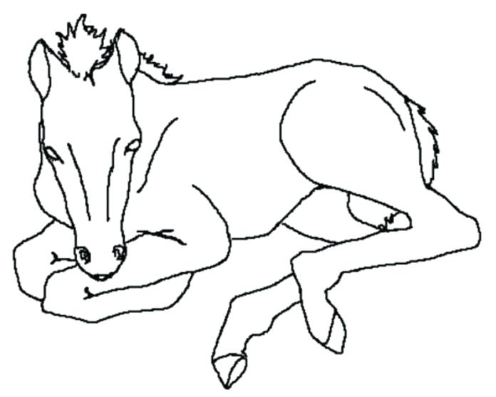 696x557 Mom And Baby Coloring Pages Mom And Baby Elephant Coloring Pages