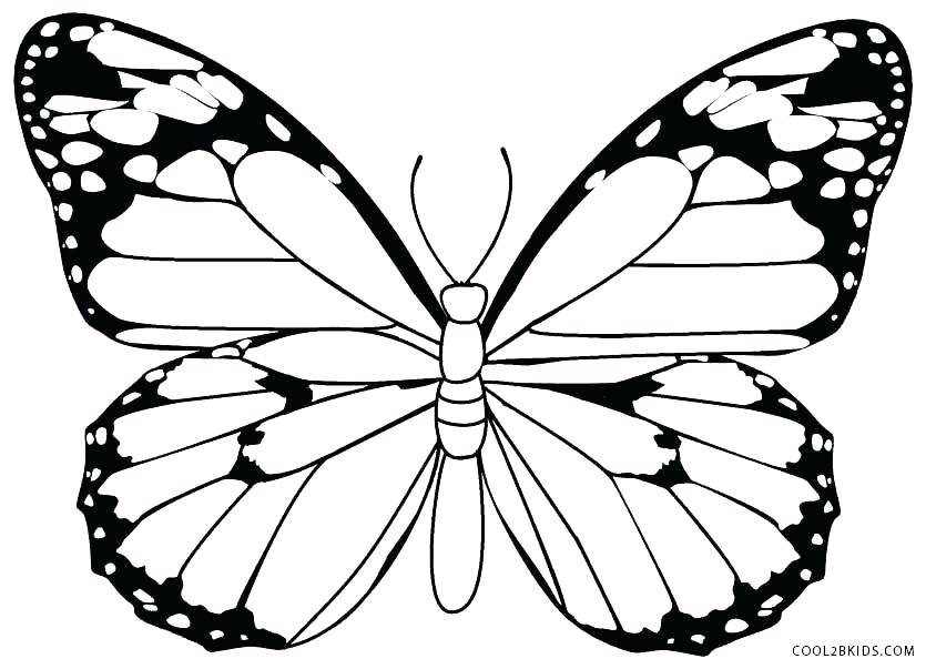 844x603 Coloring Page Of Butterfly Butterflies Scene Colouring Page Free