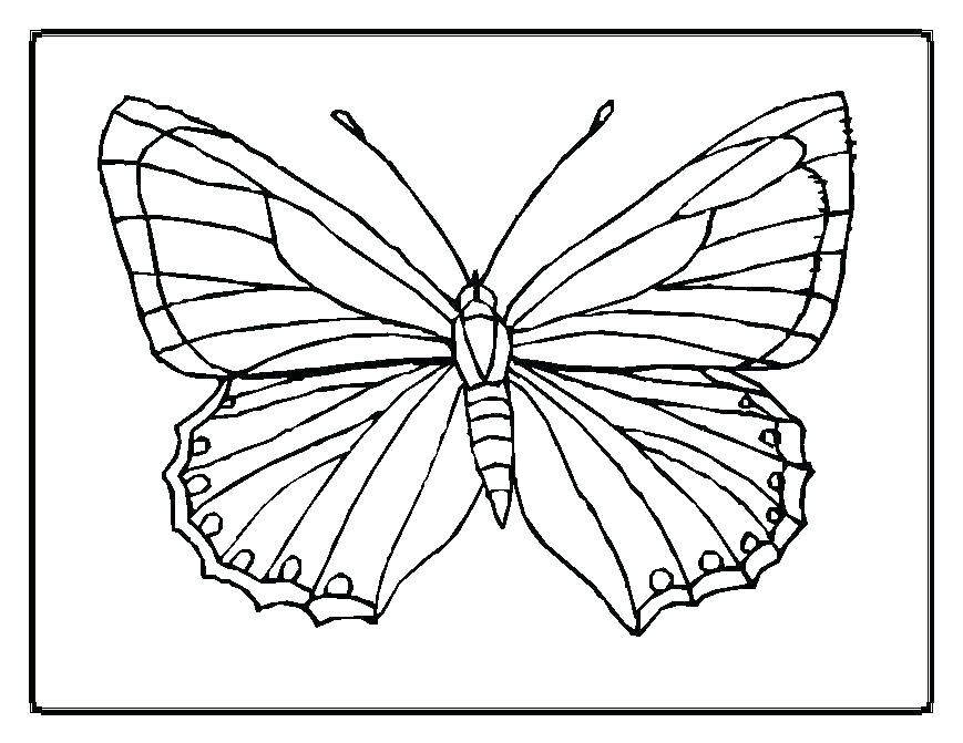 869x671 Butterfly Color Page Monarch Butterfly Life Cycle Coloring Page