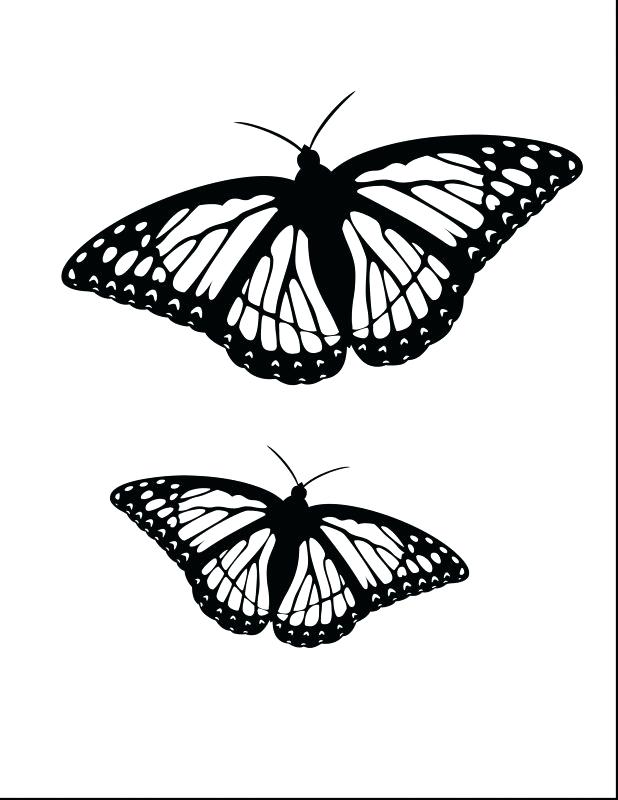 618x800 Monarch Butterfly Coloring Page Good Monarch Butterfly Coloring