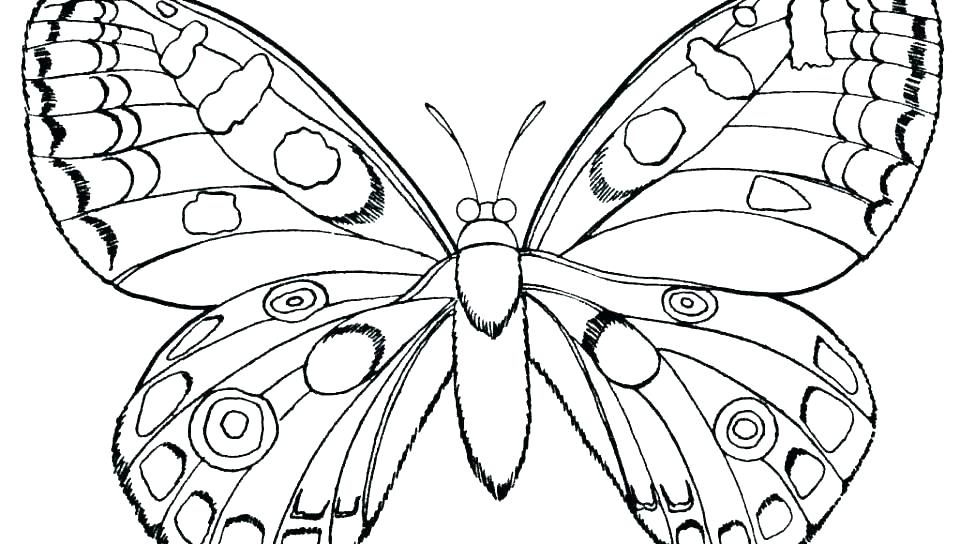 960x544 Monarch Butterfly Coloring Pages Monarch Butterfly Monarch