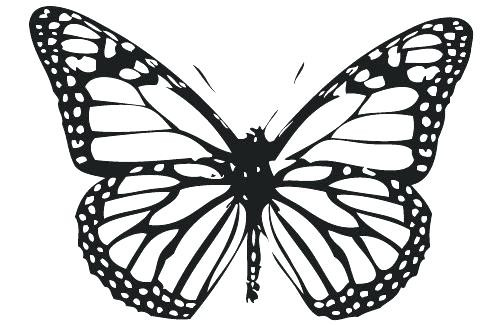 500x325 Monarch Butterfly Coloring Page Inspirational Butterfly Printable