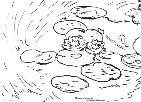 465x335 7 Best Monet Coloring Pages Images On Coloring Books