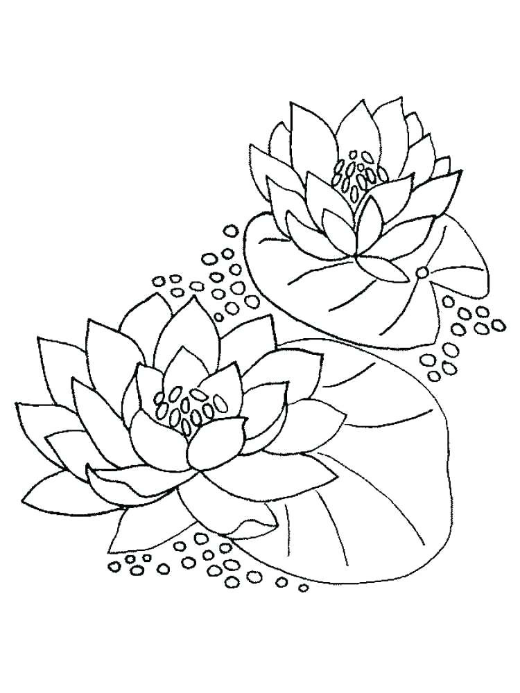 750x1000 Monet Coloring Pages Lily Water Flower Colouring For Kids 32741