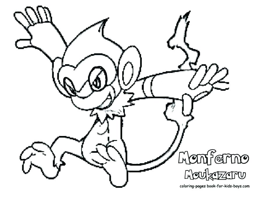 878x678 Marvelous Food Chain Coloring Pages Boys Food Web Coloring Sheets