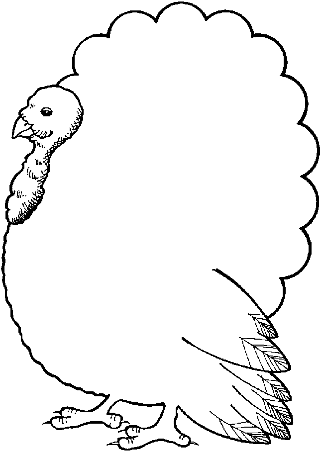 645x909 Monferno Coloring Pages 401315