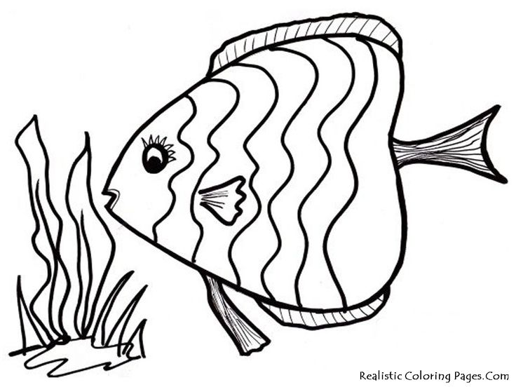 736x552 726 Best Coloring Pages Images On Coloring Sheets