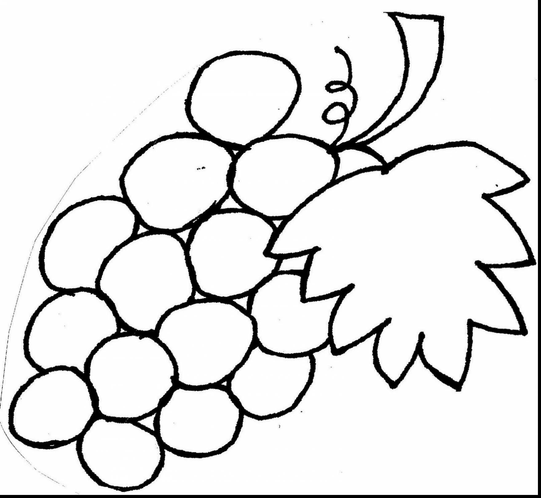 1760x1620 Grapes Coloring Page With Wallpaper Dual Monitor Mayapurjacouture