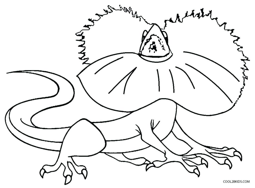 1024x754 Lizard Coloring Page Great Monitor Lizard Coloring Pages Basilisk