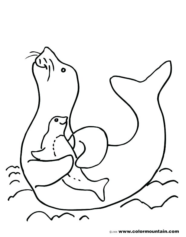 615x784 Seal Coloring Pictures Seals Pages Monk And Two Little Fish Page