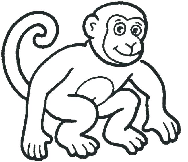 655x567 Free Monkey Coloring Pages Monkey Coloring Pages Plus Wonderful