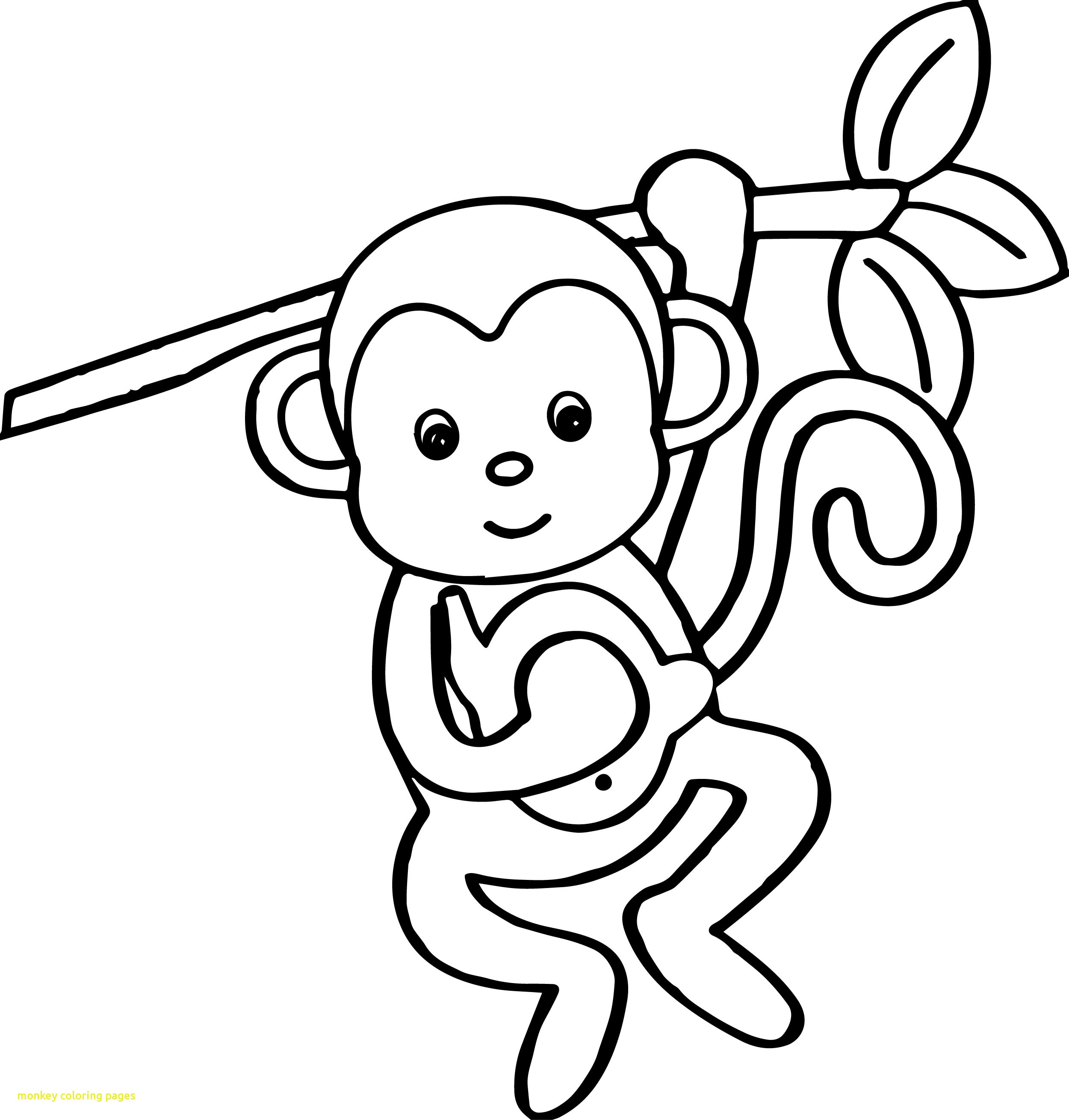 2500x2617 Monkey Coloring Pages With Cartoon Animals Kids Monkey Coloring