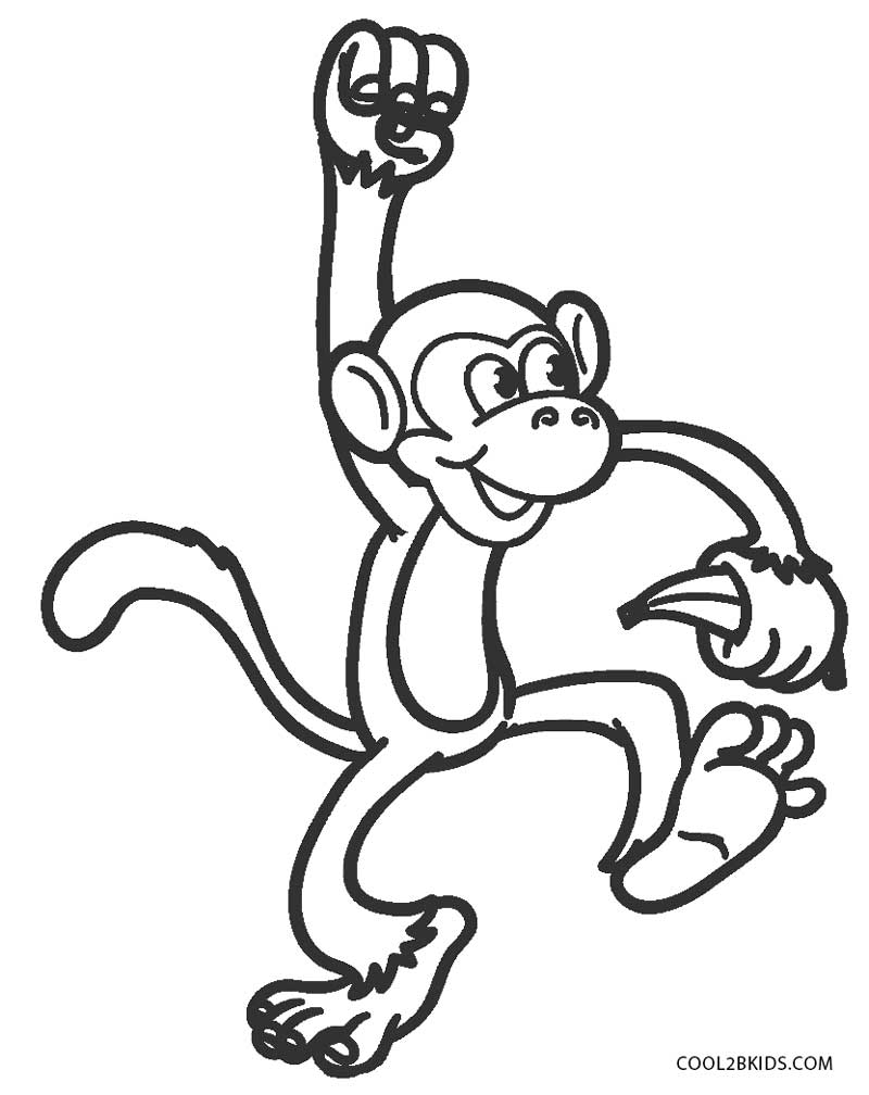 800x1008 Free Printable Monkey Coloring Pages For Kids Cool2bkids Monkey