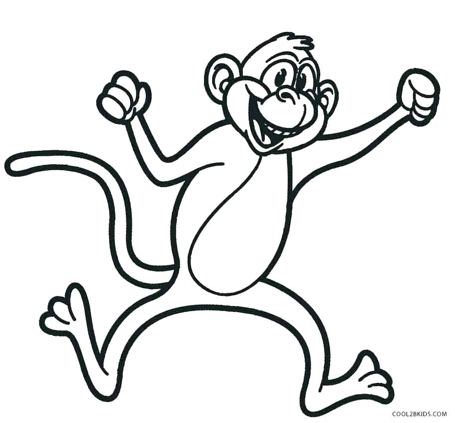 914x850 Monkey Color Page Monkey Color Pages Monkey Coloring Page Monkey