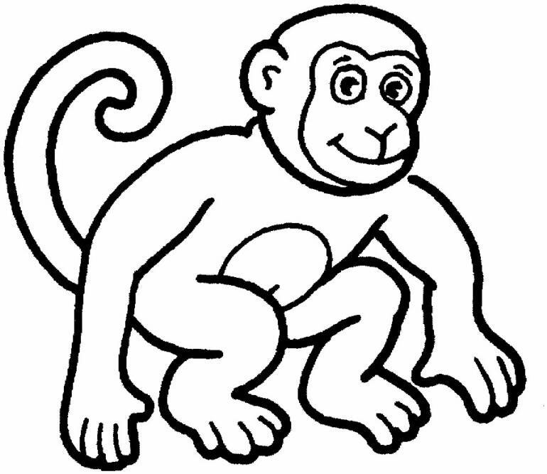 770x667 Best Simple Monkey Coloring Pages Free 2761 Printable