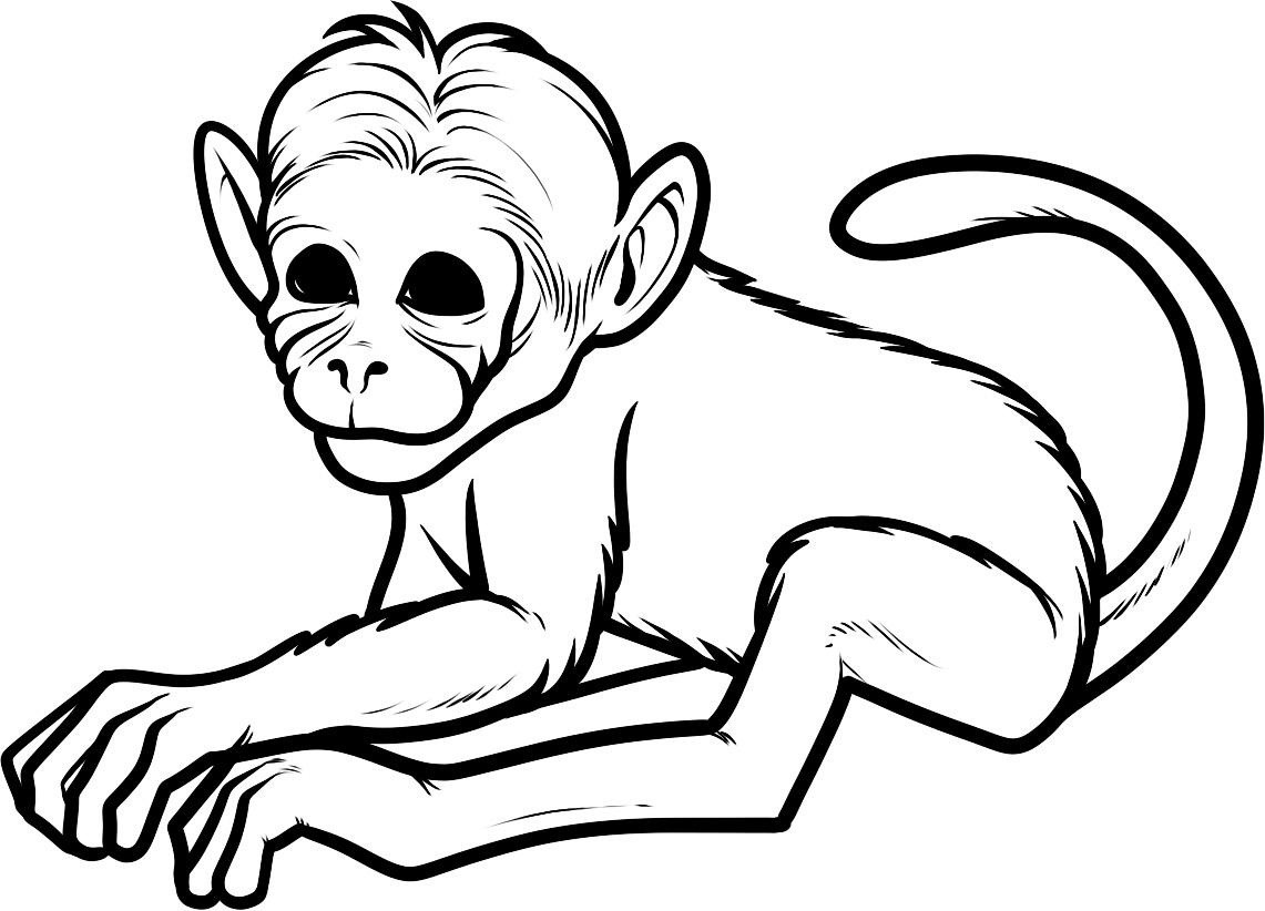 1141x822 Squirrel Monkey Coloring Pages Copy Free Printable Monkey Coloring