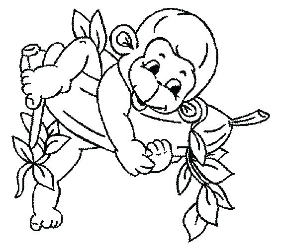 567x502 Free Printable Monkey Coloring Pages For Kids Monkey Coloring