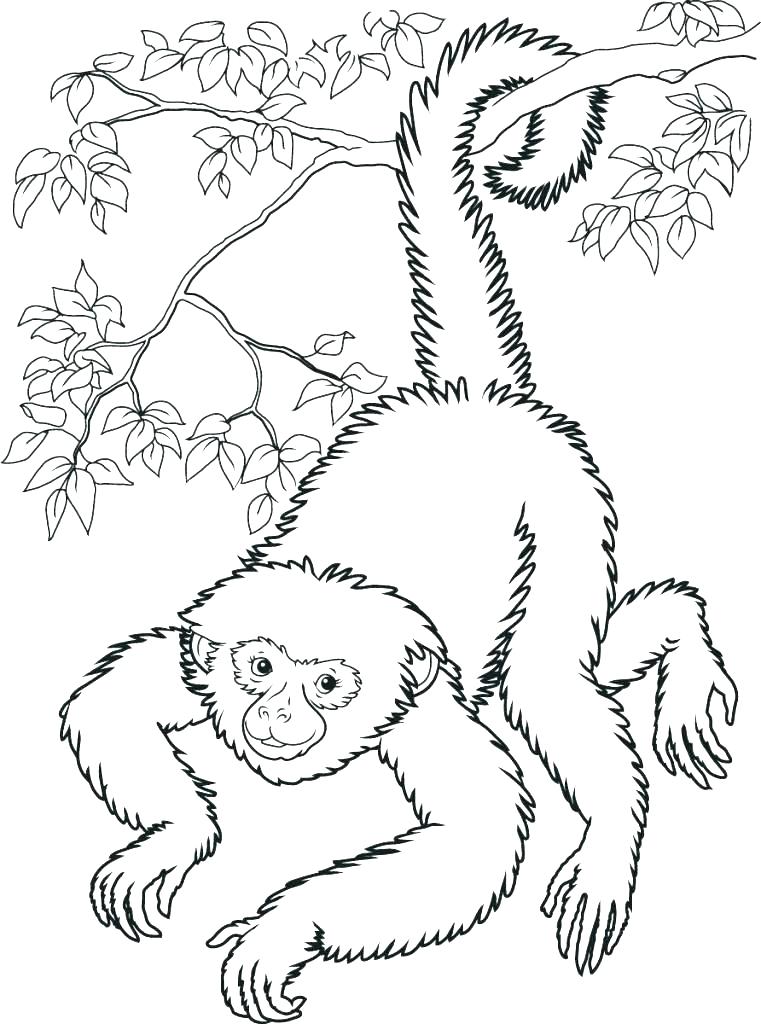 761x1024 Monkey Coloring Pages Printable Sock Monkey Coloring Pages Sock