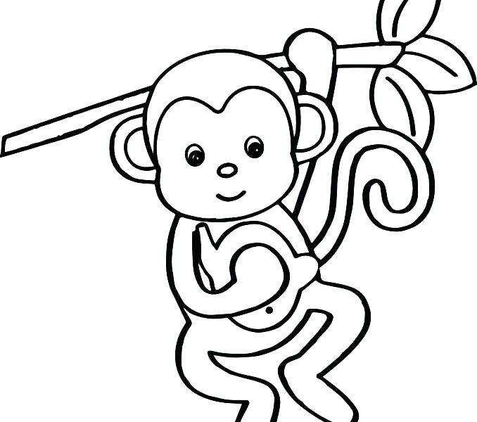 678x600 Monkey Coloring Sheet M Is For Monkey Coloring Page Spider Monkey