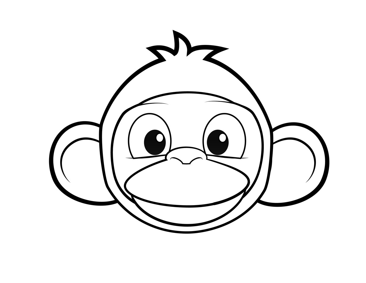 1200x927 Monkey Face Monkeys Kids Net And Monkey
