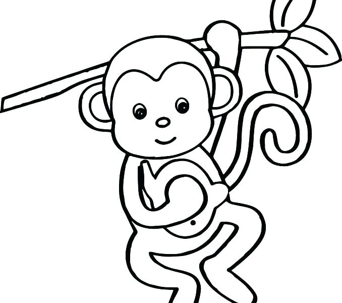 678x600 Monkey Color Page