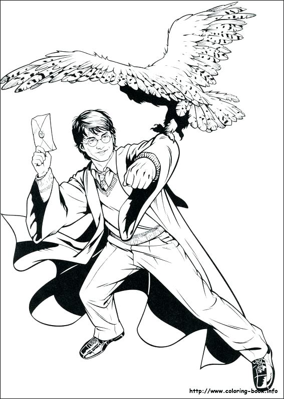 567x794 Harry Potter Coloring Sheets Harry Potter Coloring Sheets Harry