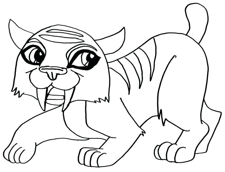 900x689 Coloring Pages Monster High Pets