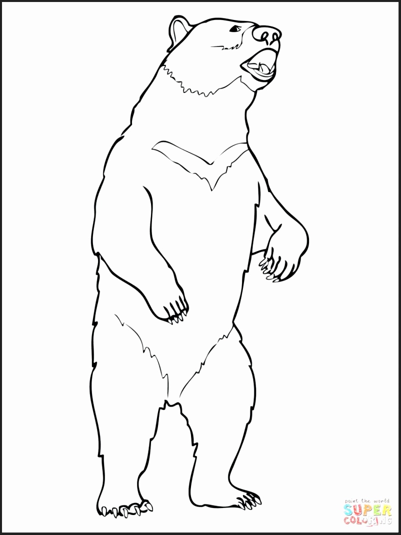 802x1070 Moon Coloring Pages For Preschoolers Newcoloring123