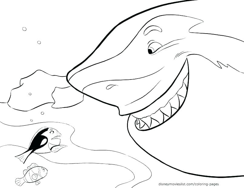 805x622 Shark Color Pages For Preschoolers Loving Printable Shark Color
