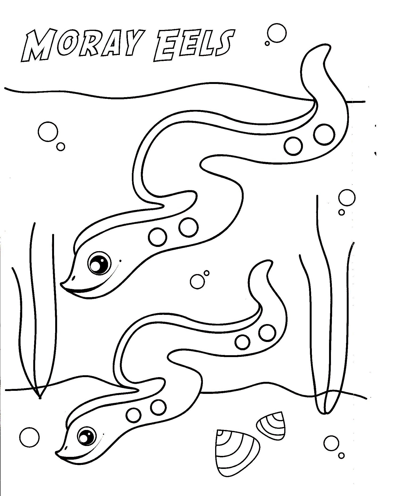 Moray Eel Coloring Page