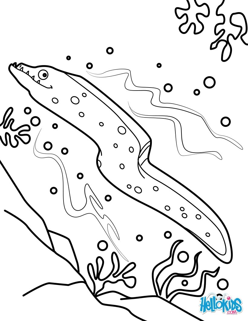 820x1060 Eel Coloring Pages