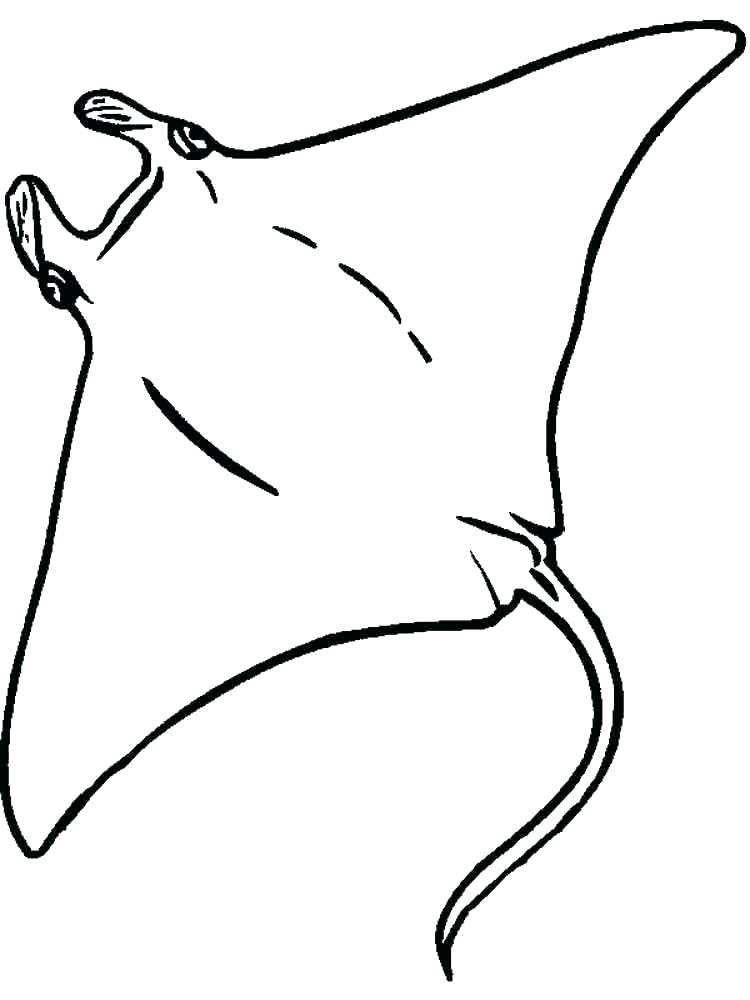 750x1000 Electric Eel Color Eel Coloring Page Eel Coloring Pages Eel