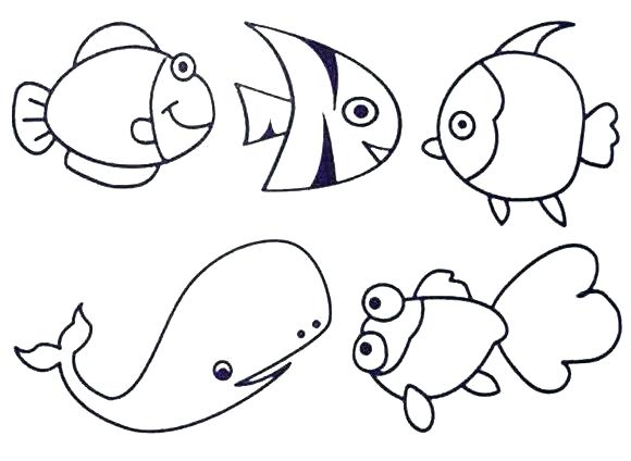 580x424 Moray Eel Coloring Pages Page Post Navigation Gulper Electri