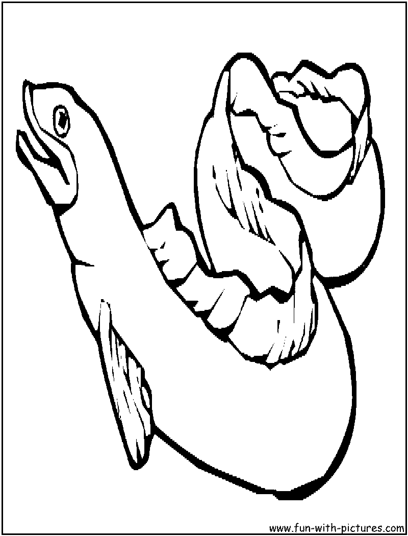 800x1050 Perspective Eel Coloring Page