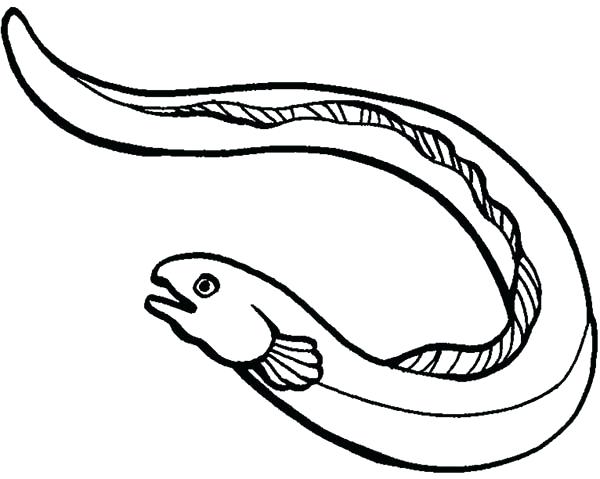 600x479 Eel Coloring Page Color Eel Coloring Page Printable Moray Eel