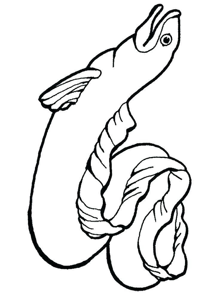 736x981 Eel Coloring Page Eel Coloring Page Eel Coloring Pages Letter E