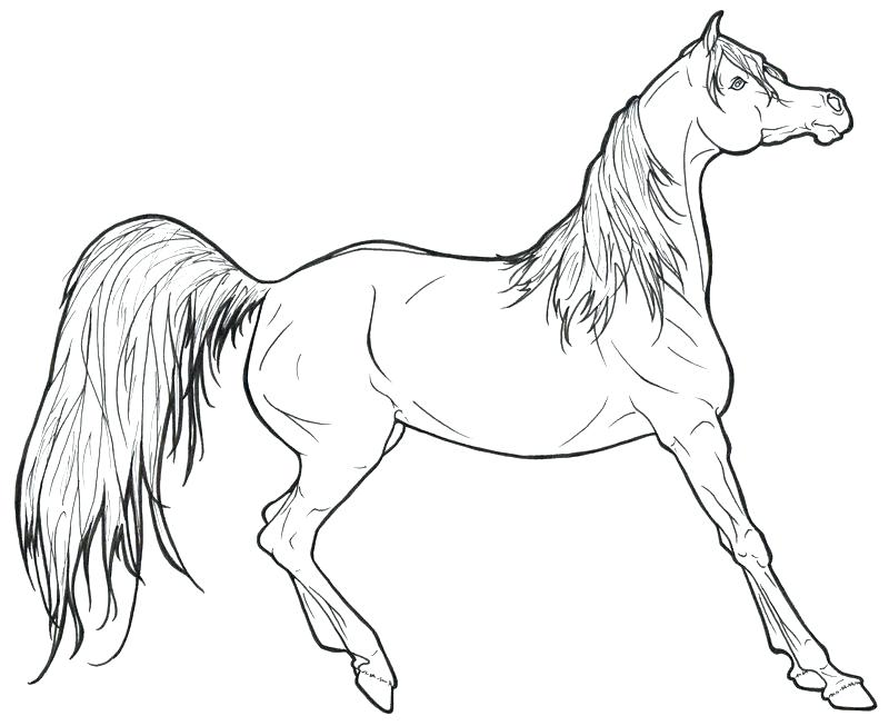 800x653 Elegant Mustang Horse Coloring Pages 91 In Picture Coloring Page